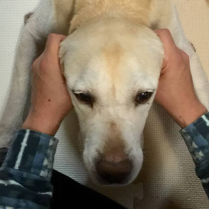 00069753 f71e 4cf9 8acb 1b2d115326e4