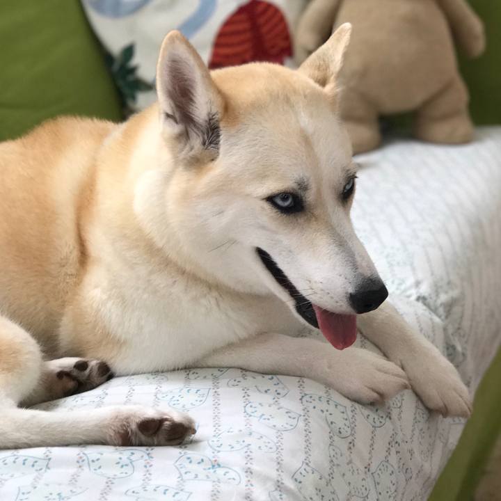 0006ecba 5a0d 48ba b51a c4c5d454d407