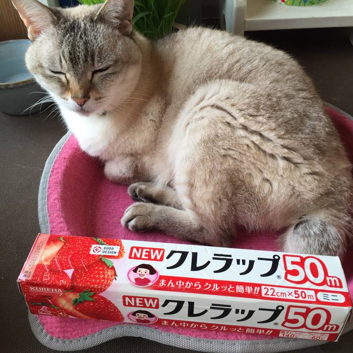 0006f616 f7e8 4e26 ae79 f55fca47948c