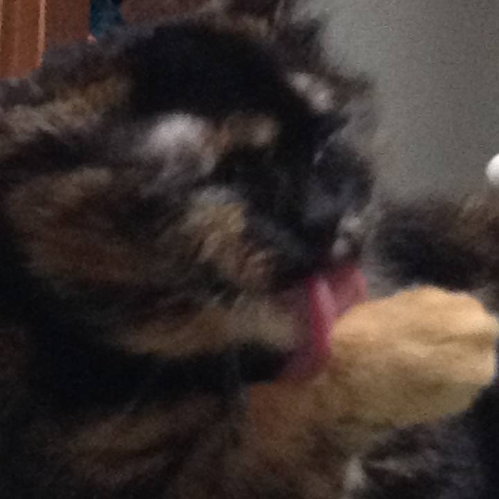 00071716 d0b8 466e ab9a 0d112d71813a