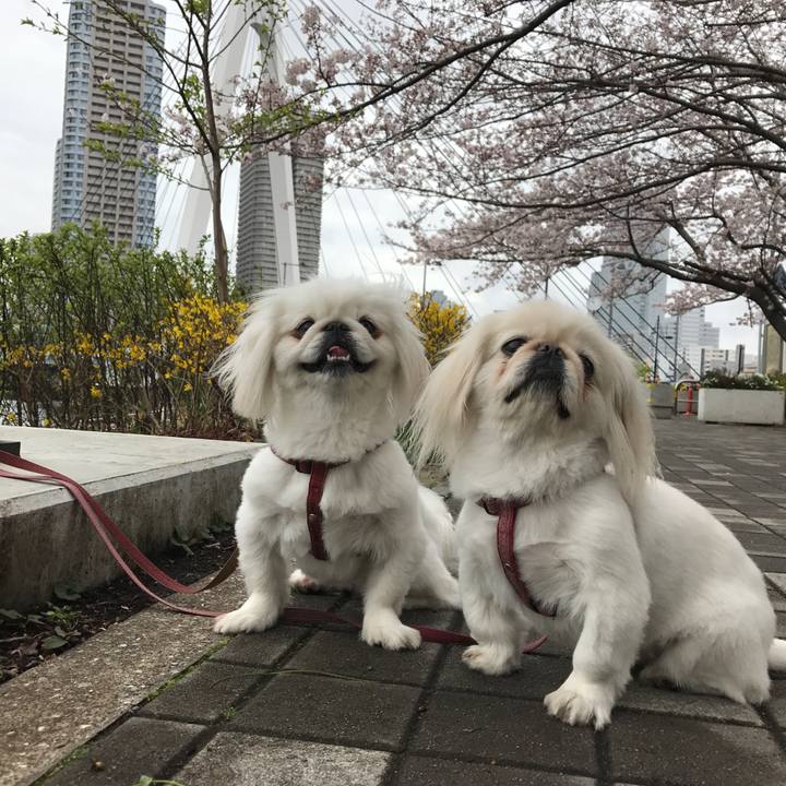 000733c7 ed42 49df 915e c4b2baed06e5