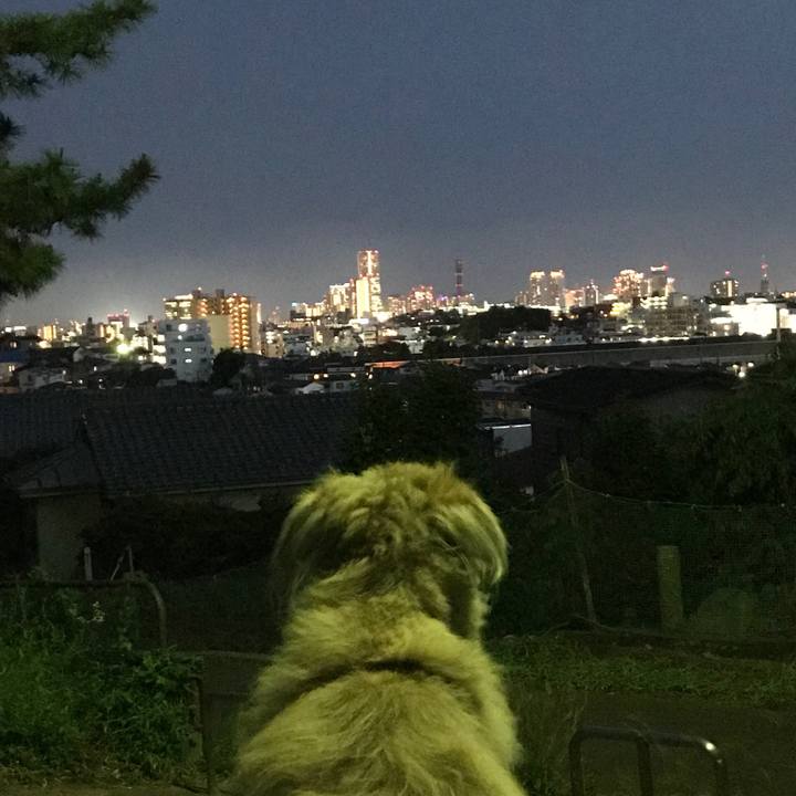 00073500 98c7 4552 8b78 5071a733d1fc