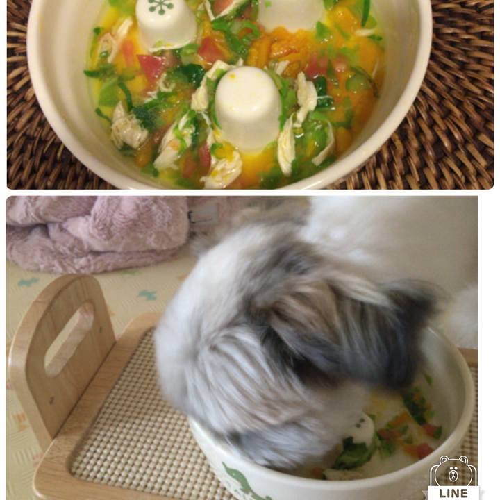 00084b36 654b 4720 a99a 7207e744e862