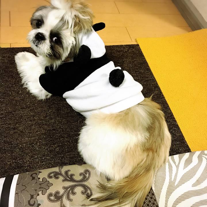 00087985 bd3e 4e04 9bd8 e8505c55d855