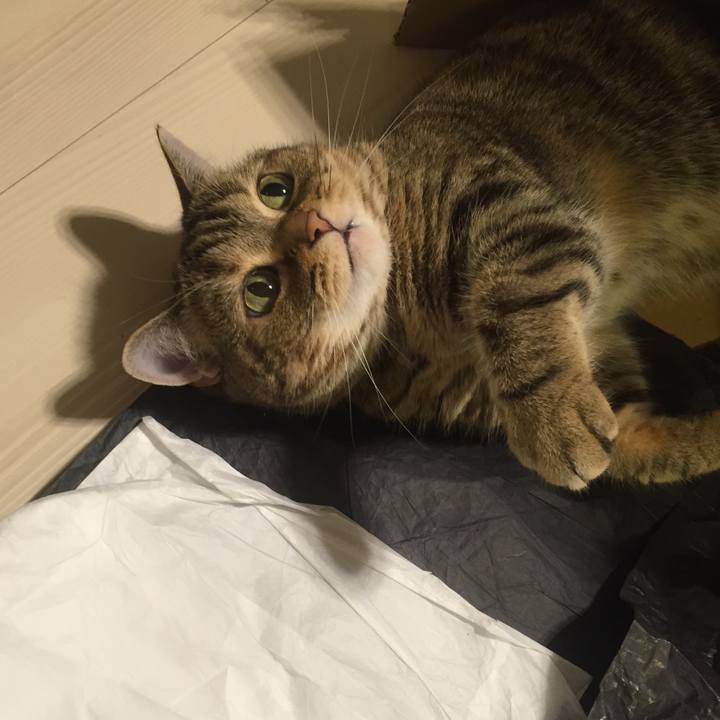 00089c3b 47c2 44fd a5da a09653a6a1d6