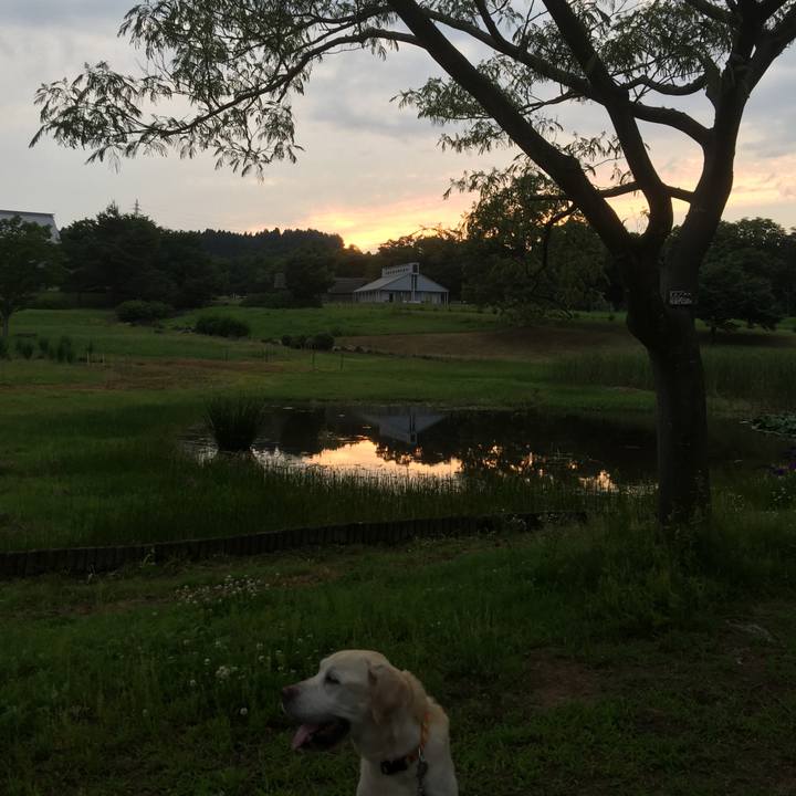 0008b603 9b55 4200 92cc 51e37b253324