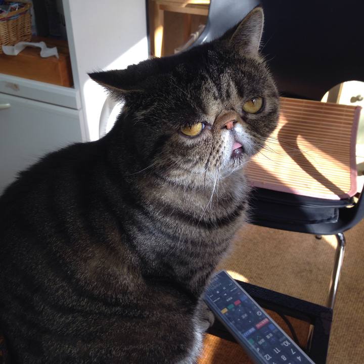 0008c2fa 9ca5 4462 862a 5f521d3fc7aa