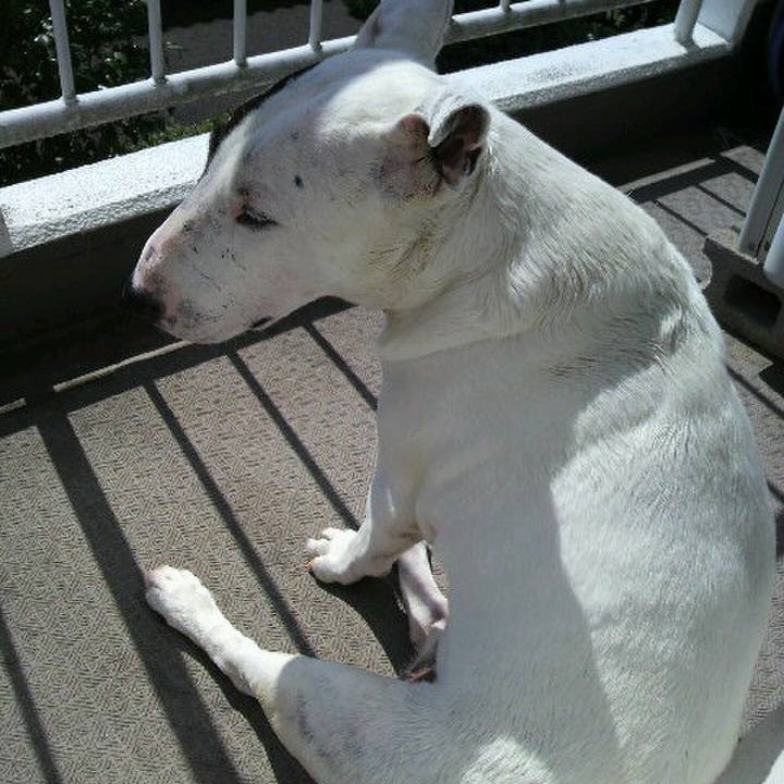 0009118c 8e25 4979 80a0 ab7a37af235f