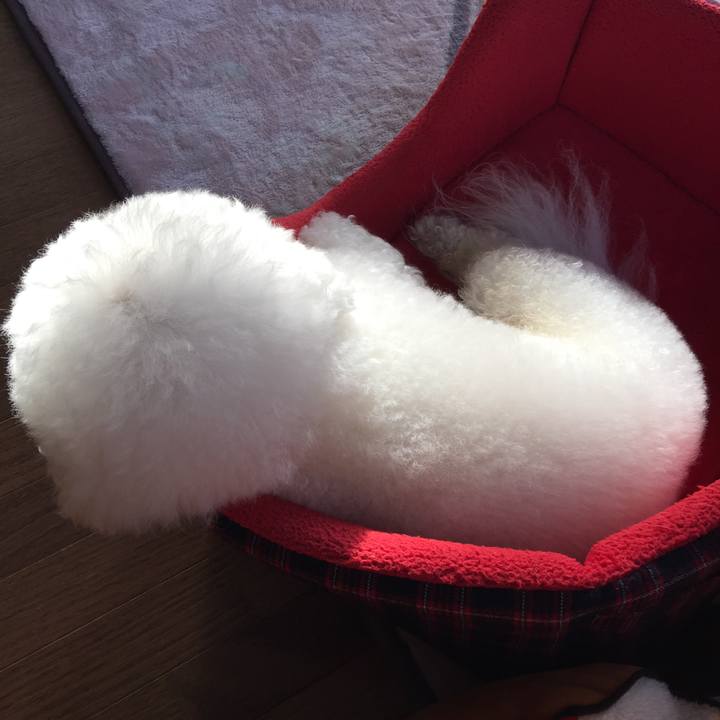 00091e15 5bd2 45d5 b60b ddb8c3c9e2de