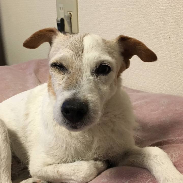 00092e1c 71cd 42cc b3bd 0151242853e2