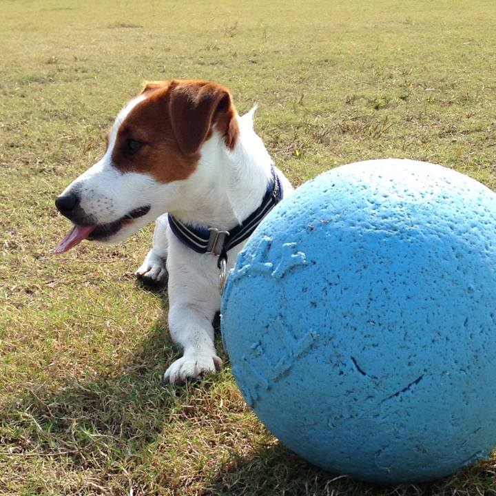 000938f9 ddf1 40f0 918e 575608eaaa09