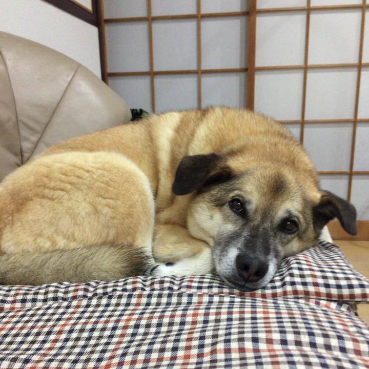 000a3553 2d4d 4e8d 91ac cd79bddb431f