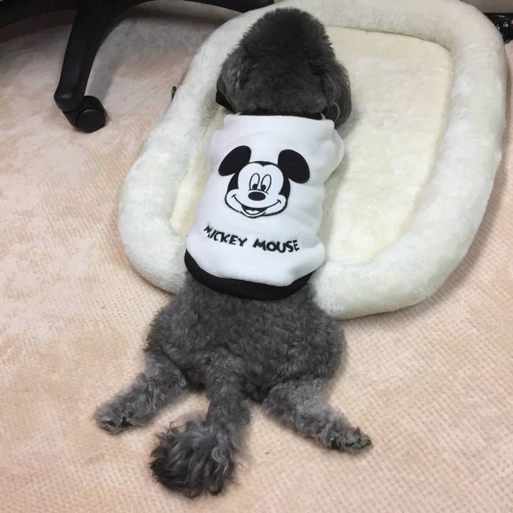 000ab133 4450 4fb2 b713 57621c93bd43