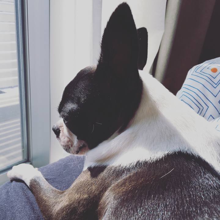 000adcd9 208b 47a4 8f30 ef32f955f6f0