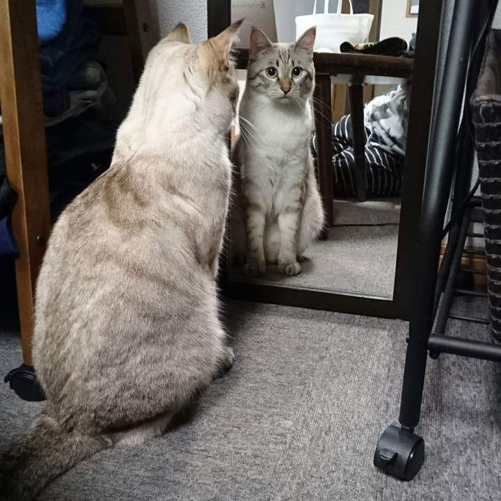 000ae1cb 0a59 4bcc aa2a 87b70f066c26