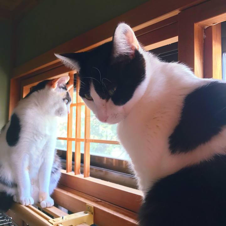 000bc5f9 e710 4e3e bfe5 2eefc934d340