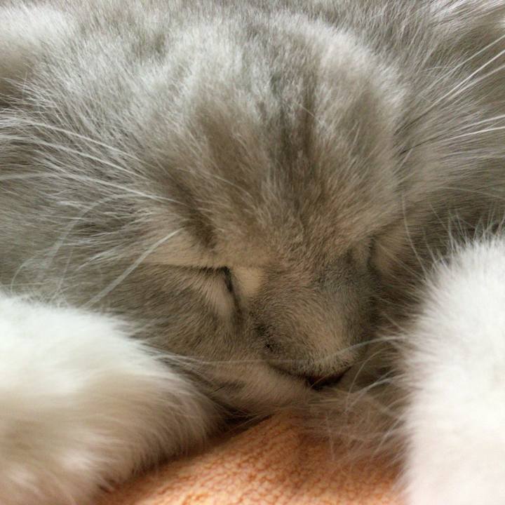 000bd0cb 5119 40ea 9466 e9d623cf53ef