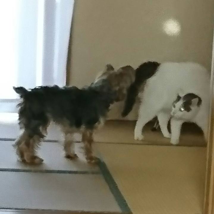 000bd374 70f8 402f 837e 7a6a2dead064