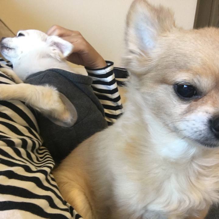 000c2c13 7ce2 4e61 9368 3b8b6a5acf7b