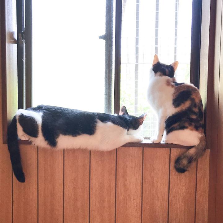 000c541b 91d2 4a30 9de2 8a0236d63333