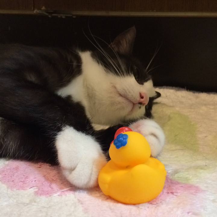 000c8676 4252 4b80 9421 dd03bfe8ab9c