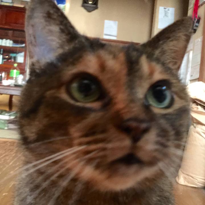 000cfaf4 18e8 43ec bb4b 775a8982eb46