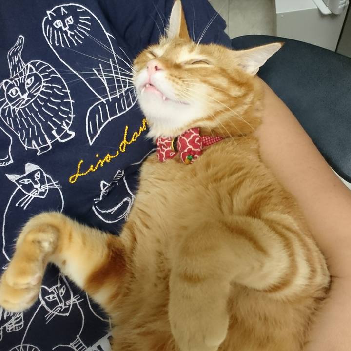 000e74d9 a0d8 4562 b269 735fbdda902e