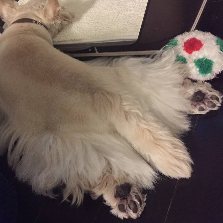 000f512d 5318 4ea8 83a8 e969c0e6b262