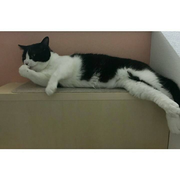 000fbcd6 3429 4b2f 8710 c8f5715b9a28