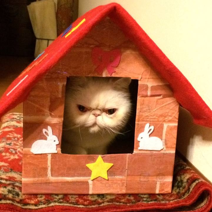 000fd7d8 ed31 4b3f b75b 5fd04ea1f637