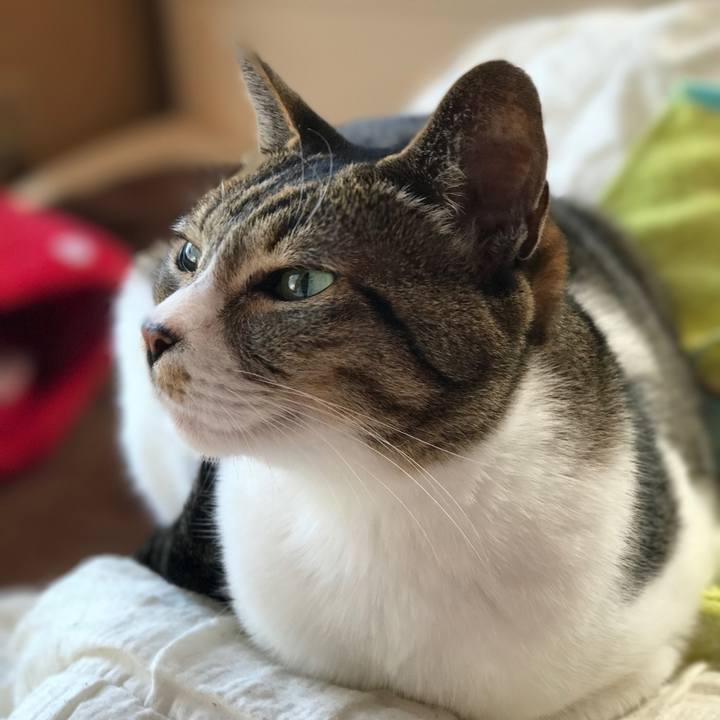 00104fa4 1e06 4e2d b0d9 2e509964bcdc