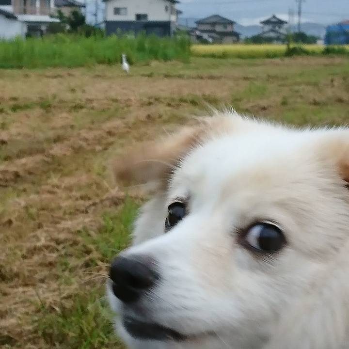 00109596 46d0 40c3 b3bb 59535dd65fe3