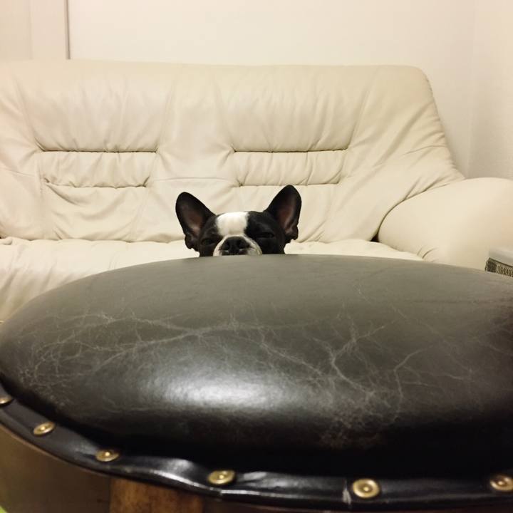 0010bb0e ff1c 4a09 90b7 06552a0b9de7