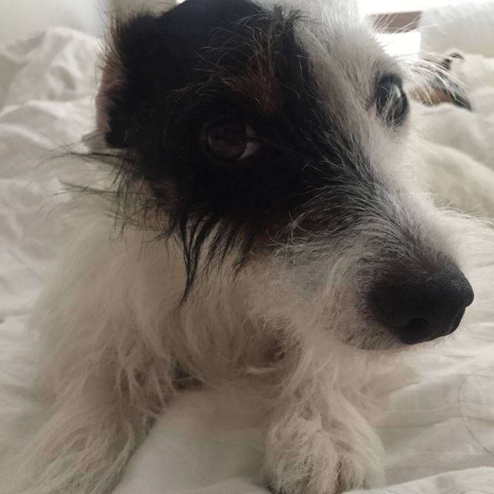 0010dae0 e118 4410 b55c b7d1162011fb