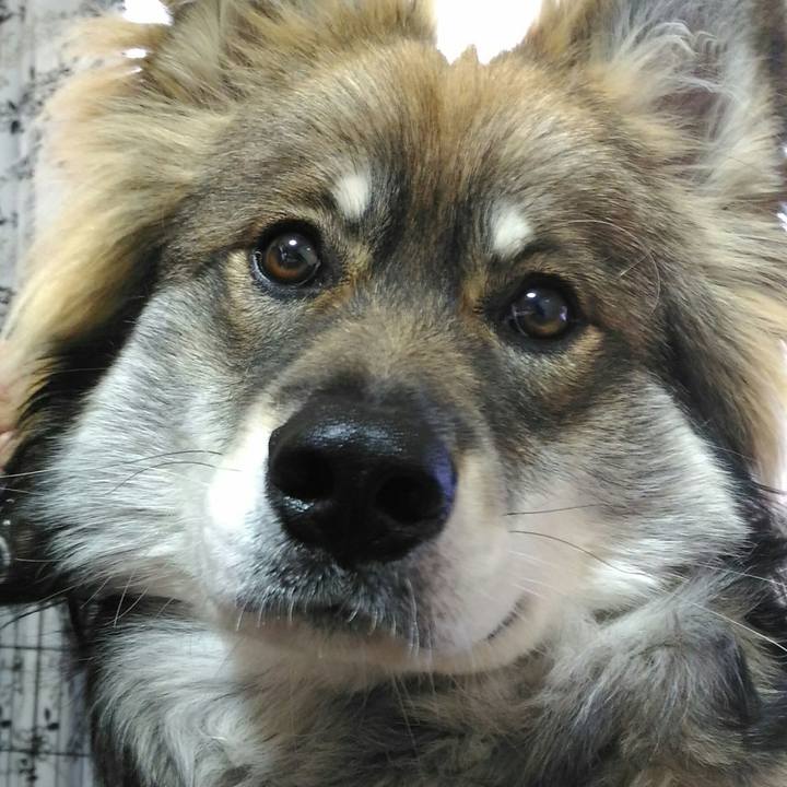 001121d9 54a7 468e b108 e1536342dfd8