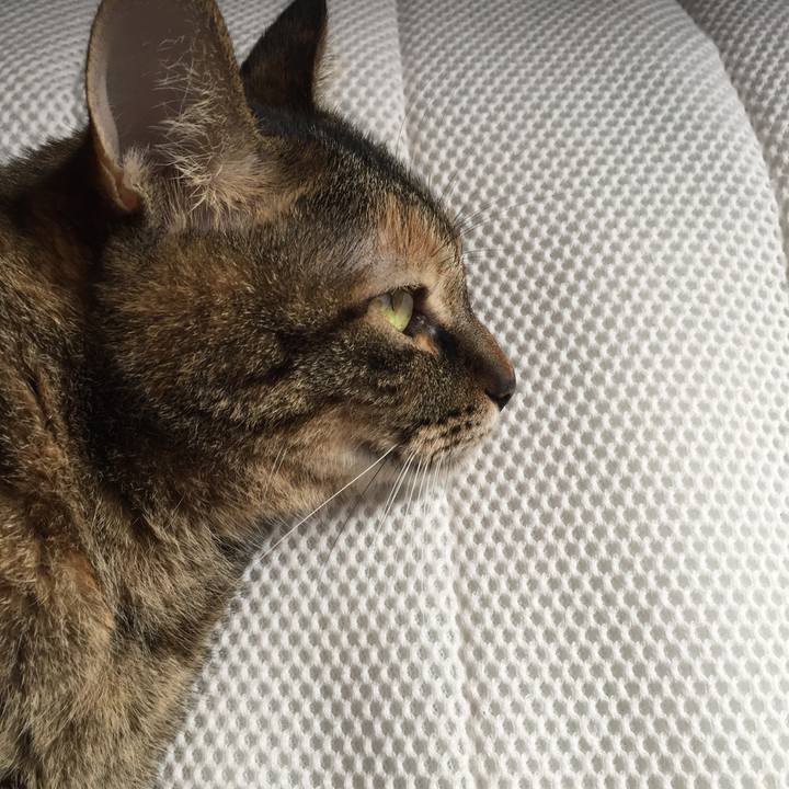 00112ed3 3122 4cdb beb5 9e8d3ea7fb6b