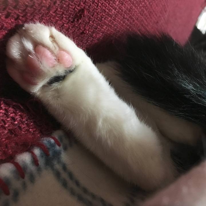 00117733 e66e 4a4f 82a4 f35a17bfb8b8