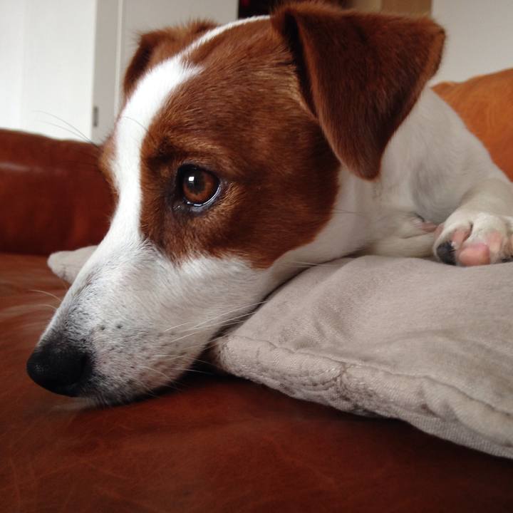 00117ba2 0bf9 45f3 bd51 70ff6fe518d4