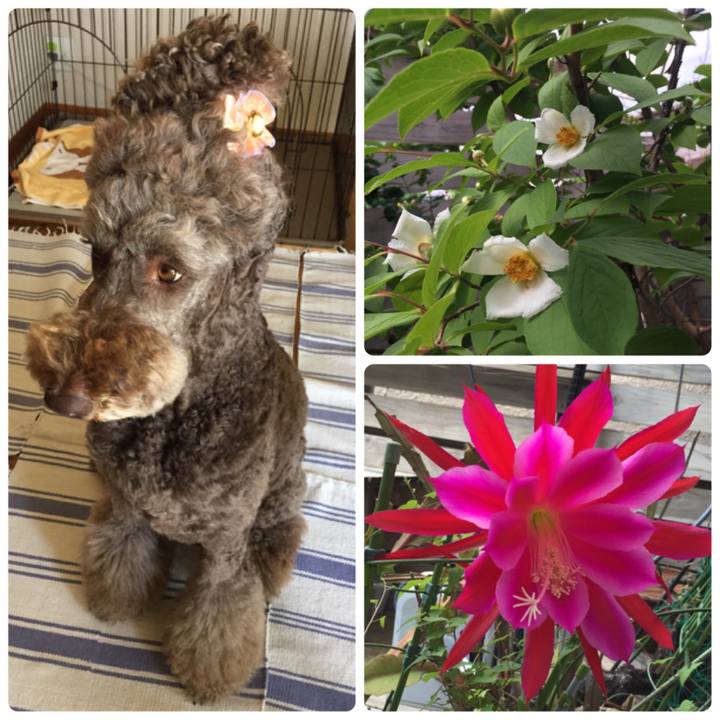 0013541f f06f 4052 aacb a2fc3bbbf981