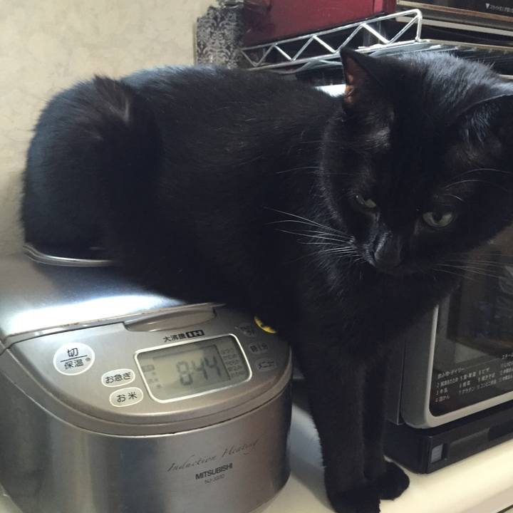 001499c2 5280 47f8 809d a1f45d7b5361