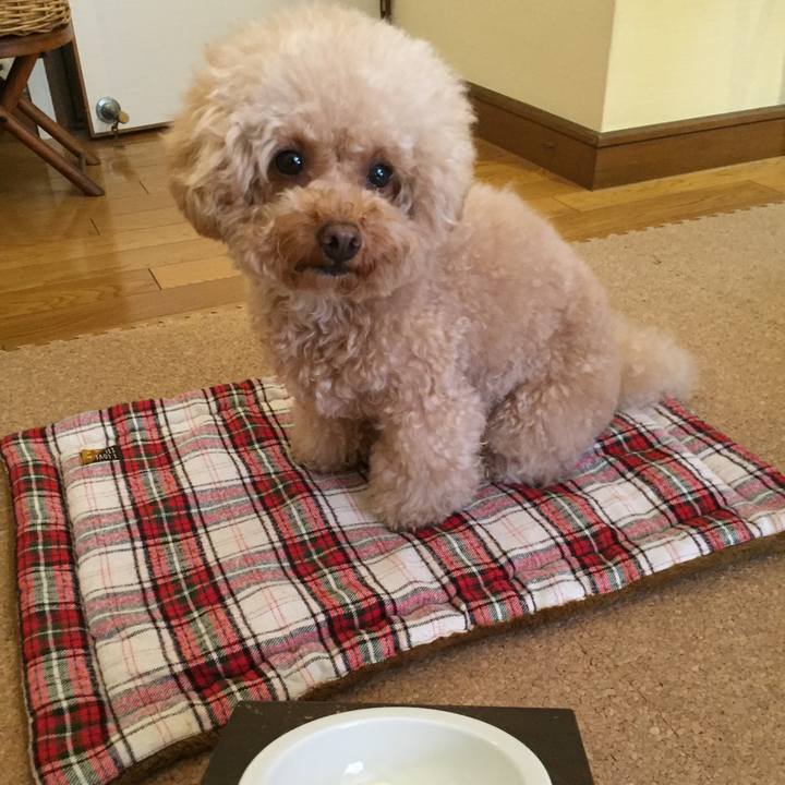 0014bfa4 a041 41ec 9fd7 393a0cbc4fc1