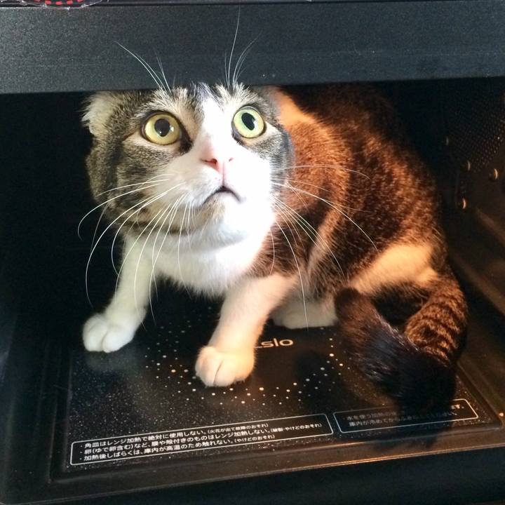 0014d116 e615 4d6d 89e3 8579d27f674c