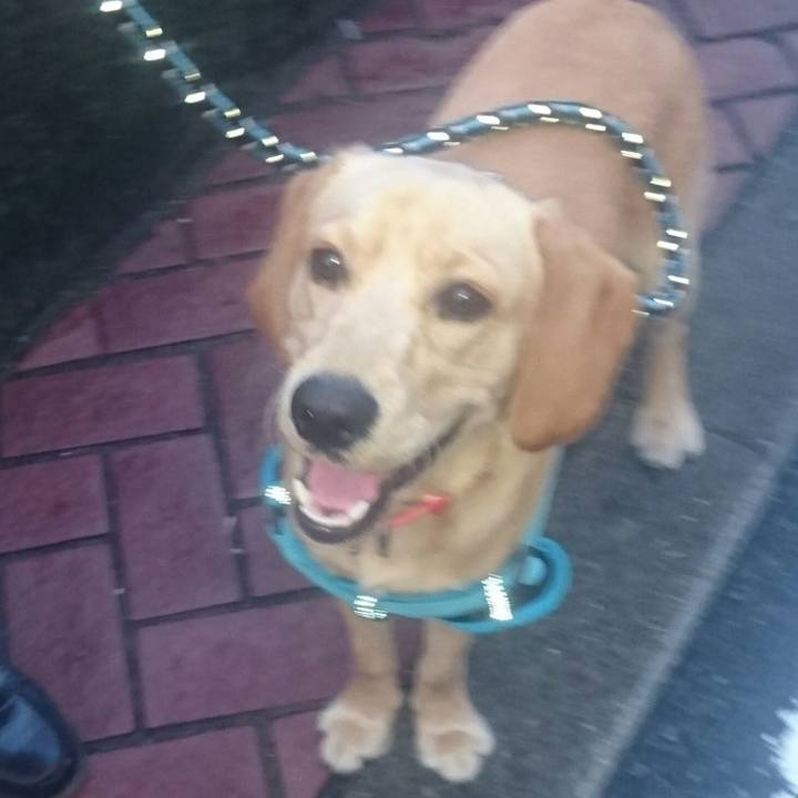 0015944c 37b6 4e2d 85db 70a7aa870e15