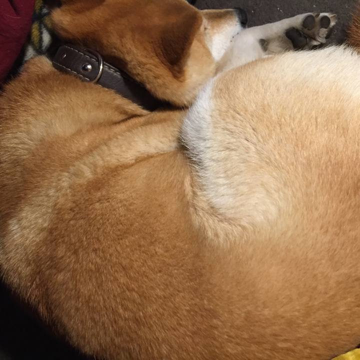 0015af42 76b1 4c30 92b1 2511c0af5107