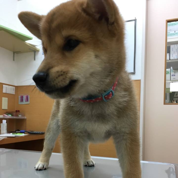 0015c307 39a4 4184 8773 682318286277