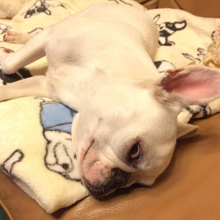 00172727 9fd4 440a 879e d388eaddefc7