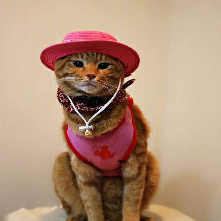 00173793 70a2 4da5 8241 6b2b45fa2c23