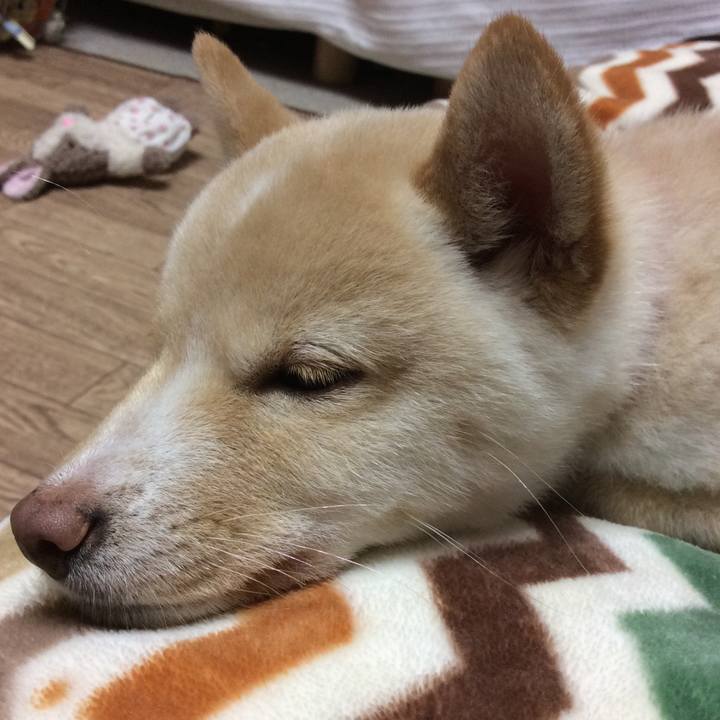 00173c30 5780 4a52 b0e7 8696a2d8e284