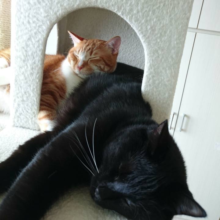 00176ff4 4629 4a79 a032 ee0805538e4d