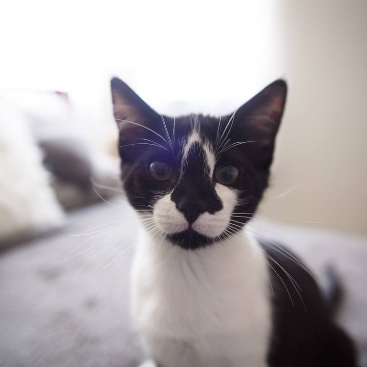 00178e91 6895 4d87 a033 422b9b73fb2a